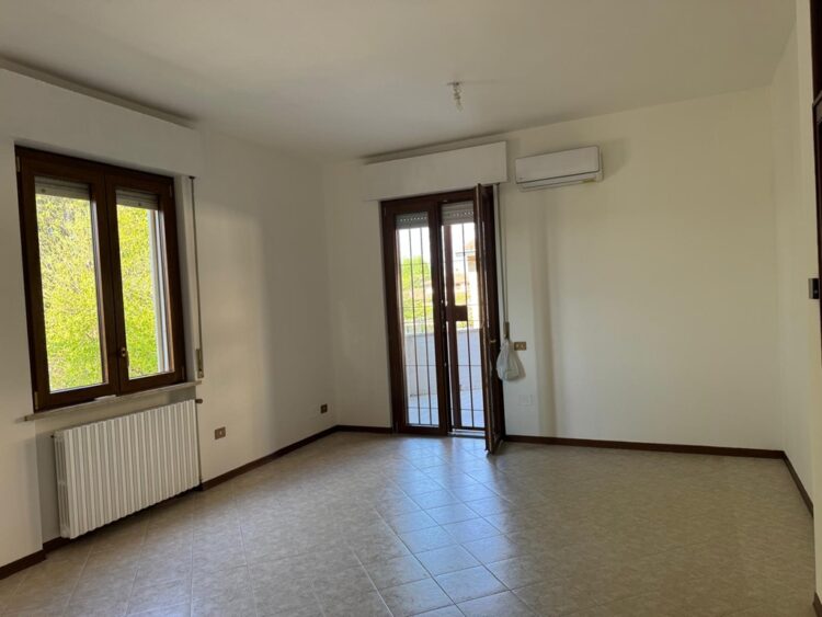 PHOTO 2026 04 13 17 35 44 (1) 1776269722 gallery 750x563